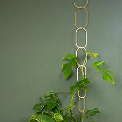 Plant support for climbing (Gold)